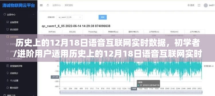 歷史上的12月18日語(yǔ)音互聯(lián)網(wǎng)實(shí)時(shí)數(shù)據(jù)探索指南，初學(xué)者與進(jìn)階用戶(hù)適用