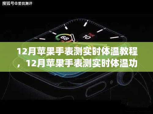 12月蘋果手表實時體溫測量功能詳解與教程，觀點闡述與全面解析