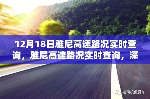 雅尼高速路況實時查詢深度解析與觀點闡述，最新路況信息，不容錯過！