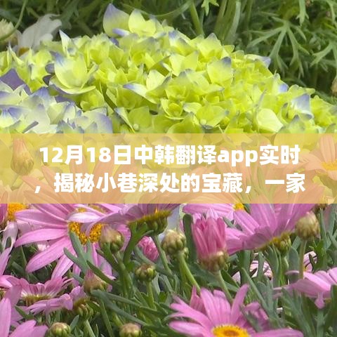 中韓翻譯App帶你探尋小巷深處的寶藏，特色小店的秘密