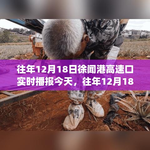 歷年12月18日徐聞港高速口實(shí)時(shí)播報(bào)，今日交通狀況分析與影響觀察