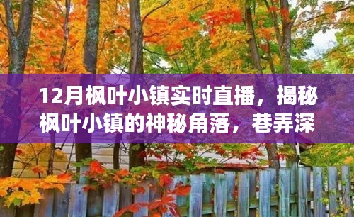 12月楓葉小鎮(zhèn)深度探索，神秘角落與巷弄小店的直播揭秘