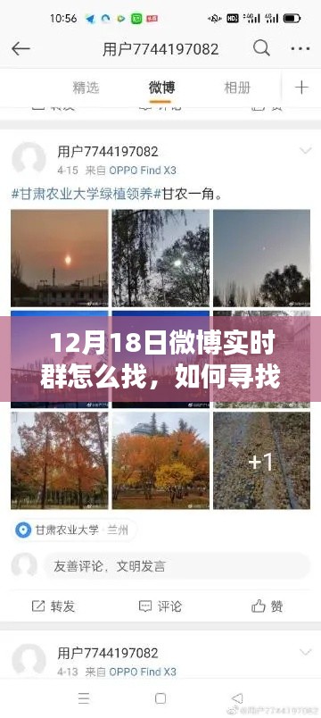 如何尋找12月18日微博實(shí)時(shí)群的方法指南