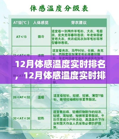 12月體感溫度實(shí)時(shí)排名查詢?nèi)ヂ?，從入門到精通的步驟指南