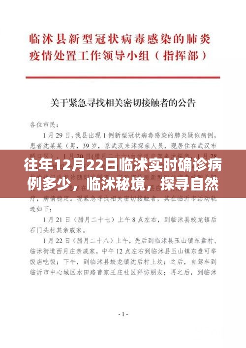 2024年12月22日 第3頁