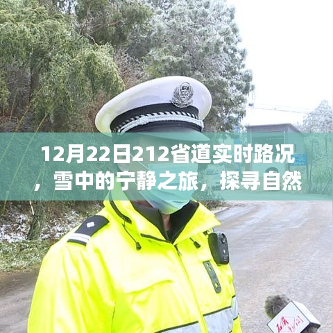 冬日雪中的寧?kù)o之旅，探尋自然美景，啟程于212省道的實(shí)時(shí)路況探索之旅