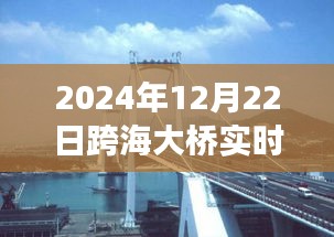 跨海大橋壯麗景色與寧?kù)o之旅，實(shí)時(shí)探尋橋梁下的秘密之旅（2024年跨海大橋?qū)崟r(shí)報(bào)道）