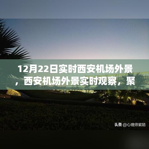 懸駝就石