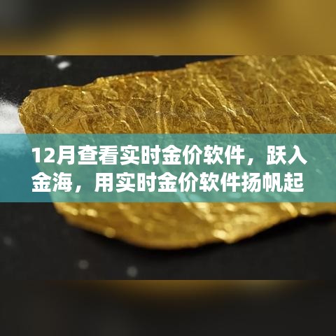 躍入金海，實(shí)時(shí)金價(jià)軟件助你揚(yáng)帆起航，金銀財(cái)富與自信人生的學(xué)習(xí)之旅