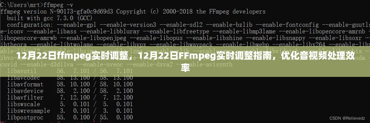 FFmpeg實時調(diào)整指南，提高音視頻處理效率的優(yōu)化策略（12月22日）