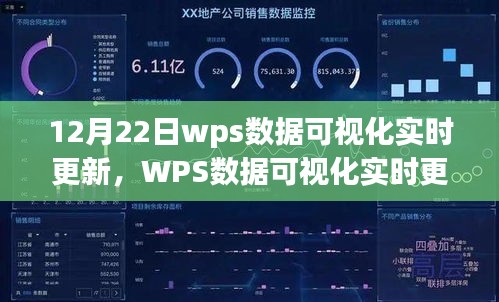 WPS數(shù)據(jù)可視化實時更新解析，探索12月22日三大要點數(shù)據(jù)可視化報告