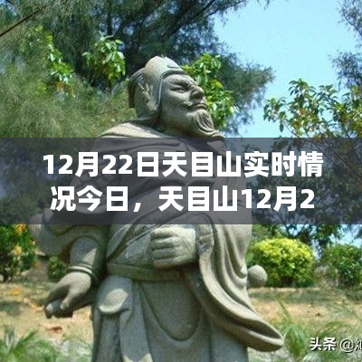 天目山12月22日實時情況探析，某某觀點下的深度闡述