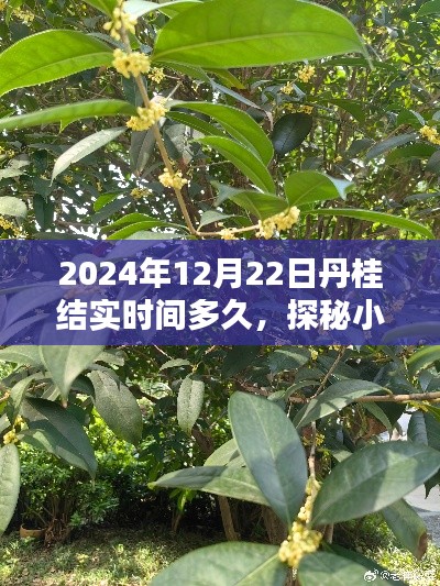 2024年12月25日 第13頁(yè)