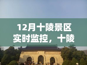 十陵景區(qū)12月實(shí)時監(jiān)控攻略，初學(xué)者與進(jìn)階用戶的全方位教程