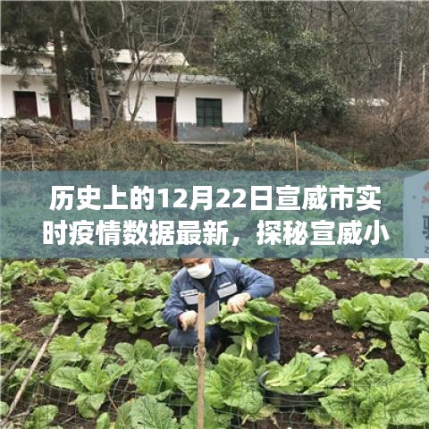 宣威市實時疫情數(shù)據(jù)更新，十二月二十二日特色環(huán)境之旅與小店的探秘之旅