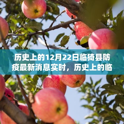 透過實時消息看臨猗縣防疫之路，歷史進展與最新動態(tài)