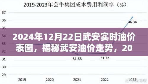 揭秘武安油價(jià)走勢(shì)，最新油價(jià)表圖與解析（2024年12月22日）