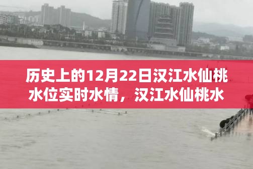 漢江水仙桃水位揭秘，探尋歷史特殊水情，實(shí)時(shí)掌握12月22日水位動(dòng)態(tài)