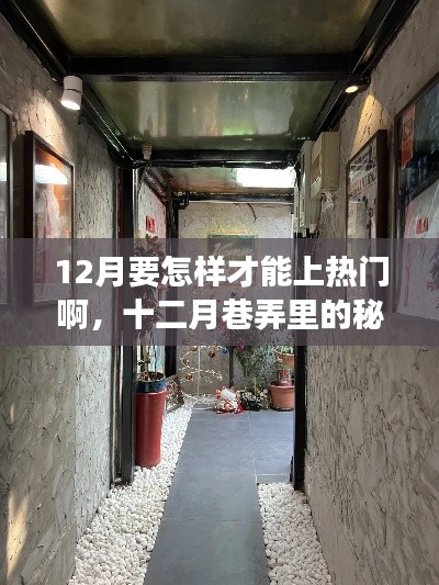 十二月巷弄探秘，特色小店點(diǎn)燃熱門探索之旅