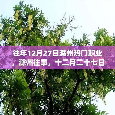 滁州十二月二十七日職業(yè)風(fēng)采變遷回顧，歷史影響與今日熱門(mén)職業(yè)解析