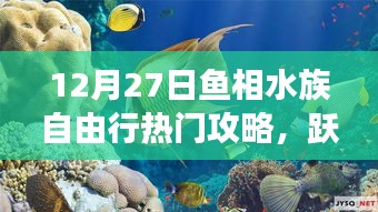 12月27日魚相水族心靈之旅，深藍海洋自由行攻略