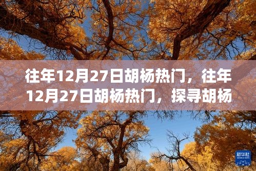 探尋胡楊魅力與熱門事件背后的故事，歷年12月27日胡楊之旅的熱門揭秘