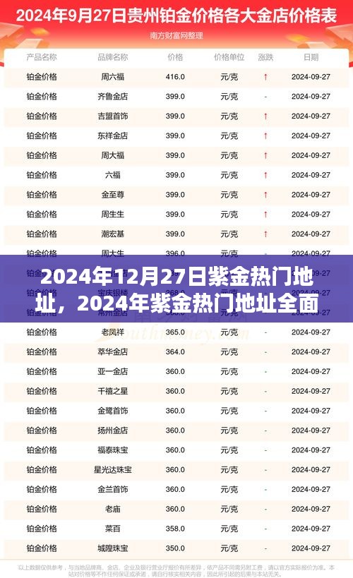 2024年紫金熱門地址全面評測，特性、體驗(yàn)、對比及用戶群體深度解析