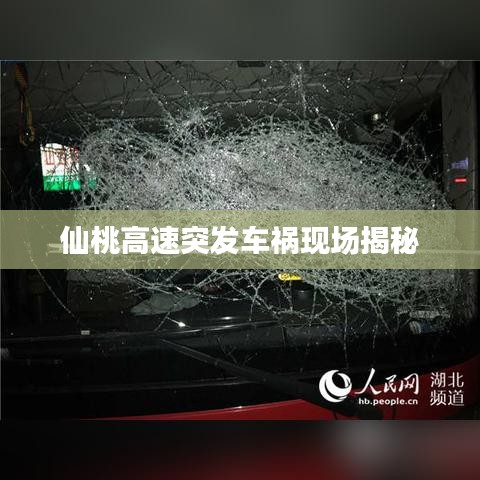 仙桃高速突發(fā)車禍現(xiàn)場揭秘