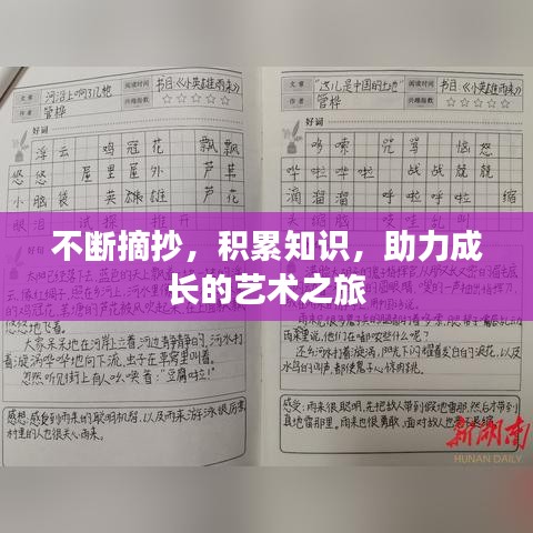 不斷摘抄，積累知識，助力成長的藝術之旅