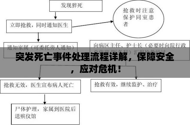 突發(fā)死亡事件處理流程詳解，保障安全，應(yīng)對(duì)危機(jī)！