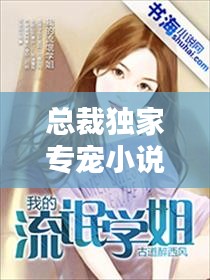 總裁獨家專寵小說，《獨家專寵:總裁甜妻萌萌噠》 