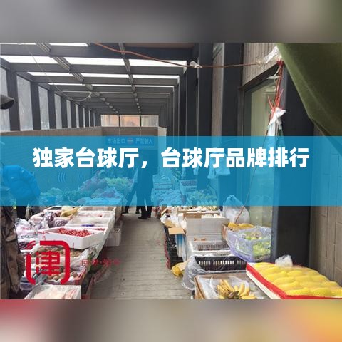 獨家臺球廳，臺球廳品牌排行 