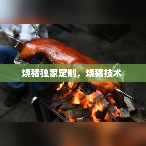 燒豬獨(dú)家定制，燒豬技術(shù) 