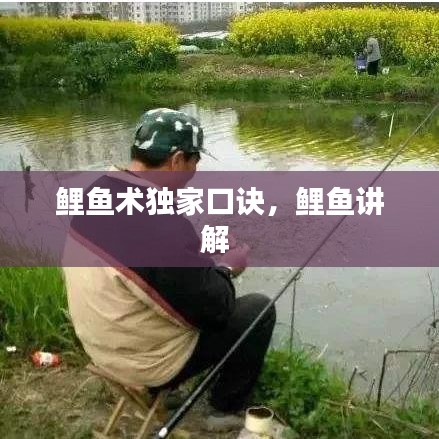 鯉魚術(shù)獨家口訣，鯉魚講解 