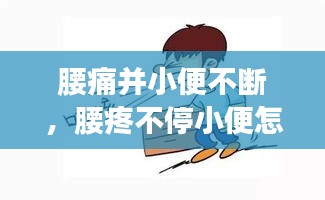 腰痛并小便不斷，腰疼不停小便怎么回事 