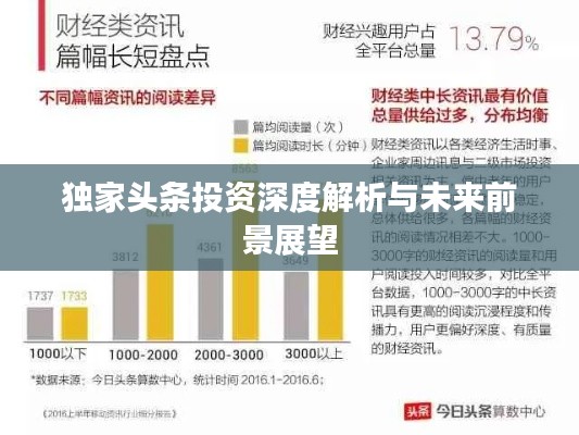 獨(dú)家頭條投資深度解析與未來(lái)前景展望