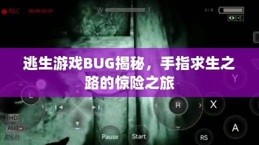 逃生游戲BUG揭秘，手指求生之路的驚險(xiǎn)之旅