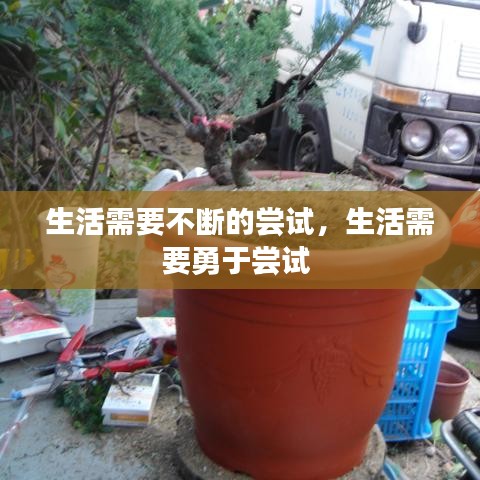 生活需要不斷的嘗試，生活需要勇于嘗試 