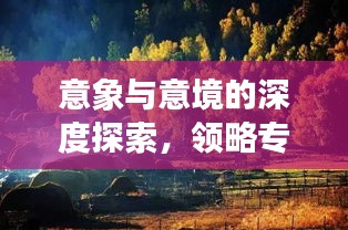 意象與意境的深度探索，領略專題魅力