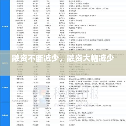 融資不斷減少，融資大幅減少 