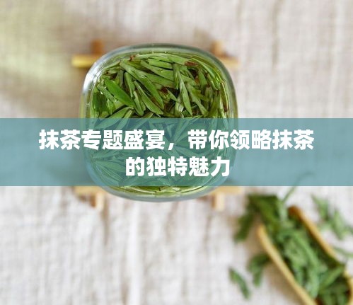 抹茶專題盛宴，帶你領(lǐng)略抹茶的獨(dú)特魅力