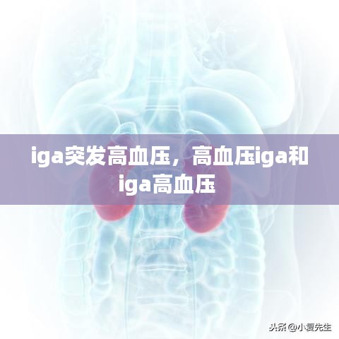 iga突發(fā)高血壓，高血壓iga和iga高血壓 