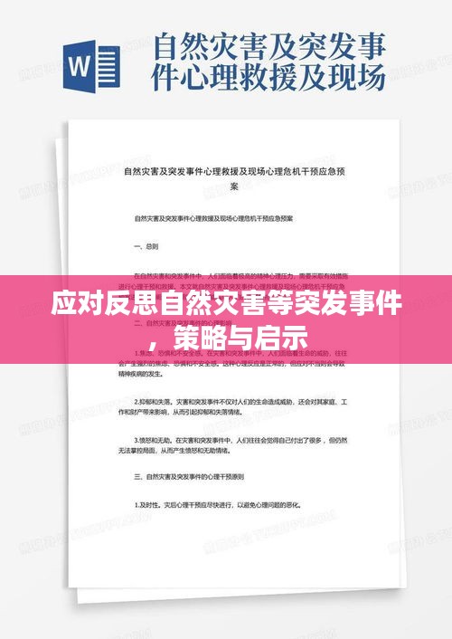 應(yīng)對反思自然災(zāi)害等突發(fā)事件，策略與啟示