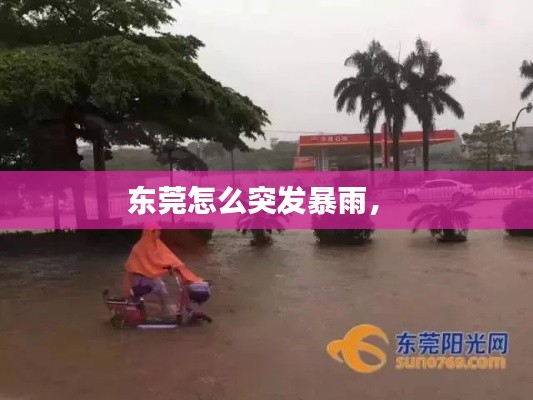 東莞怎么突發(fā)暴雨， 