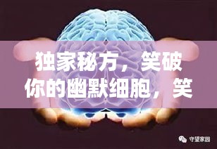 獨(dú)家秘方，笑破你的幽默細(xì)胞，笑料大解密！