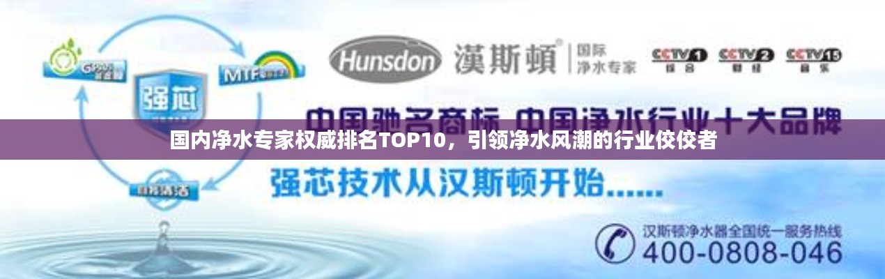 國(guó)內(nèi)凈水專家權(quán)威排名TOP10，引領(lǐng)凈水風(fēng)潮的行業(yè)佼佼者