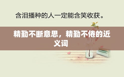 精勤不斷意思，精勤不倦的近義詞 