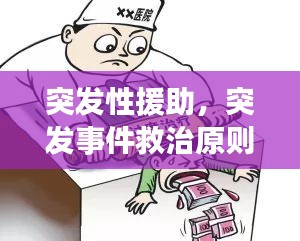 突發(fā)性援助，突發(fā)事件救治原則 