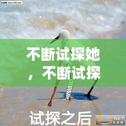 不斷試探她，不斷試探表情包 