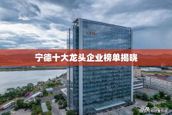 寧德十大龍頭企業(yè)榜單揭曉